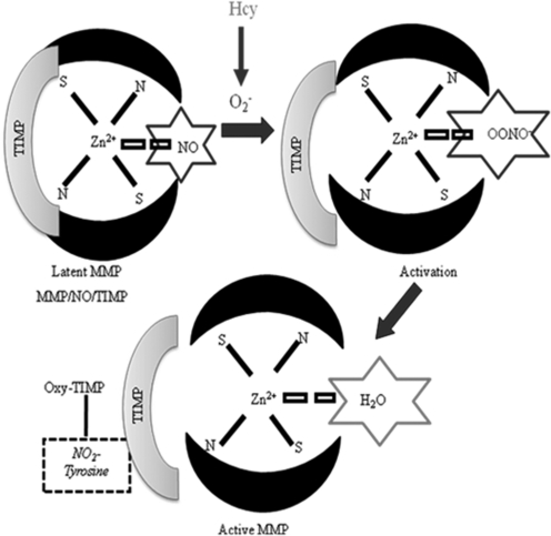 FIG. 12.