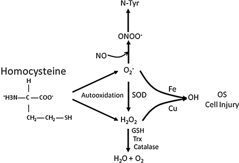 FIG. 7.