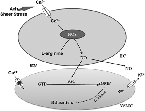 FIG. 10.