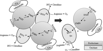 FIG. 8.