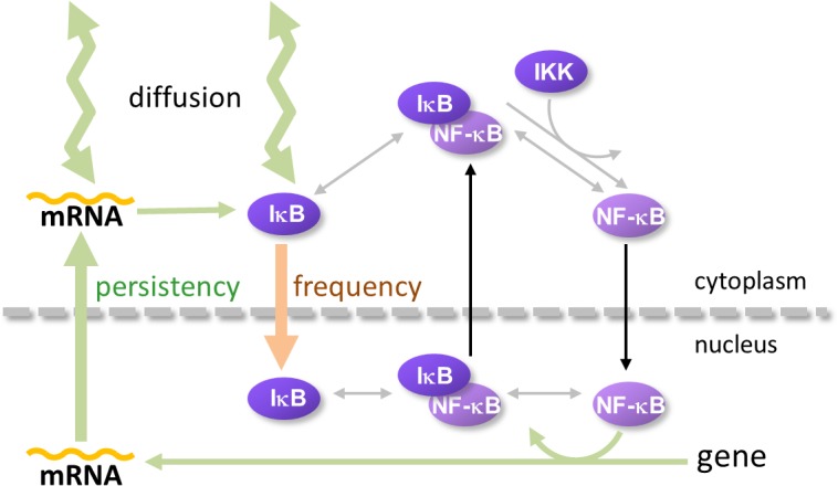 Fig 7