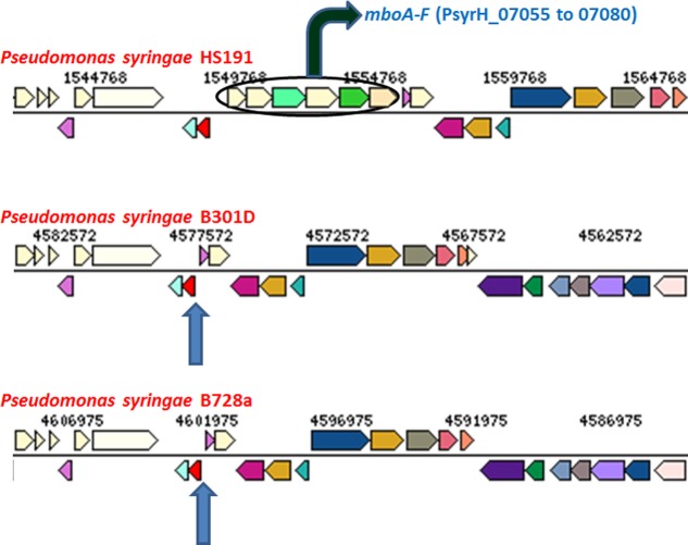 Figure 6