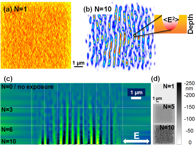 Figure 5