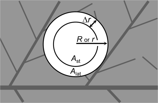 Fig. 6.