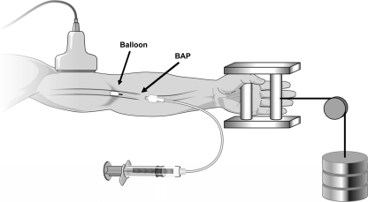 Fig. 3.