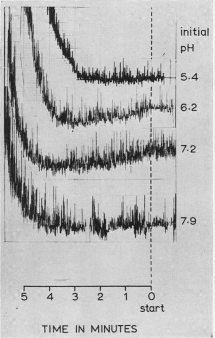 graphic file with name jclinpath00363-0089-a.jpg