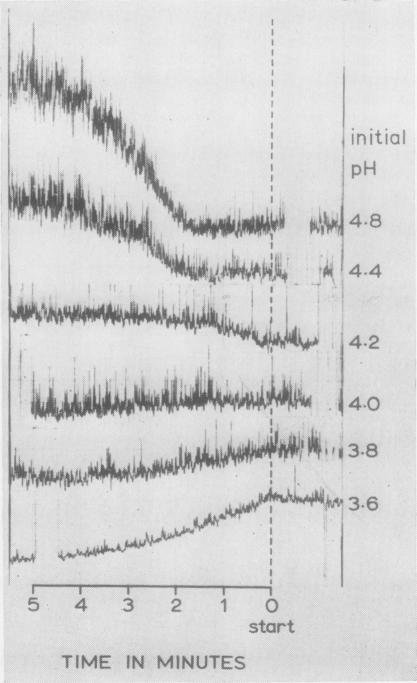 graphic file with name jclinpath00363-0090-a.jpg