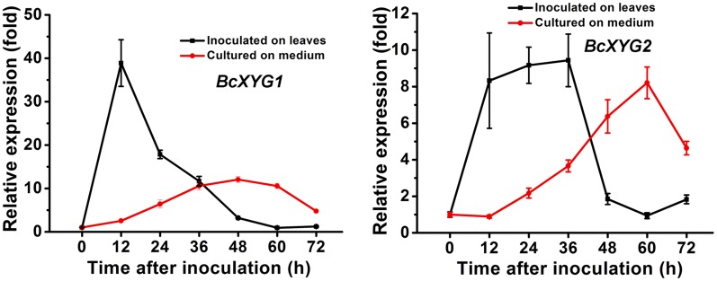 Figure 4.