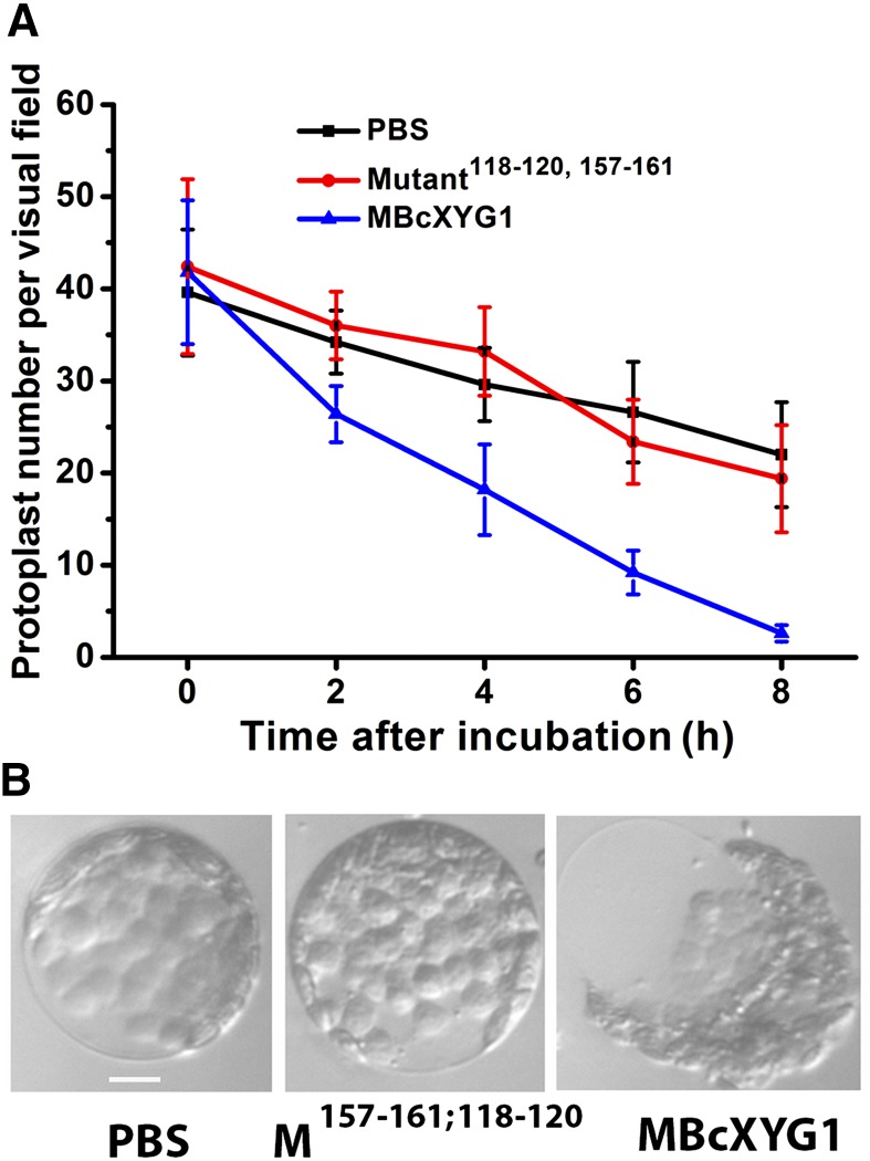 Figure 10.