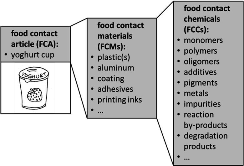 Conceptual diagram