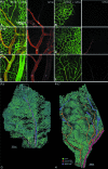 Figure 2-4262