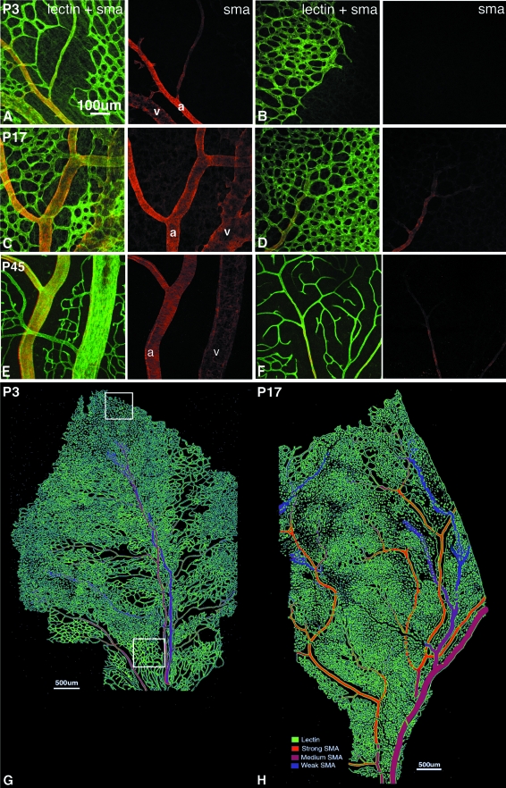 Figure 2-4262