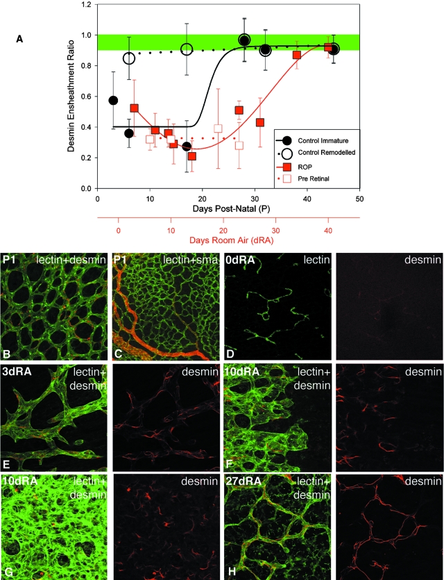 Figure 4-4262