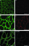 Figure 3-4262
