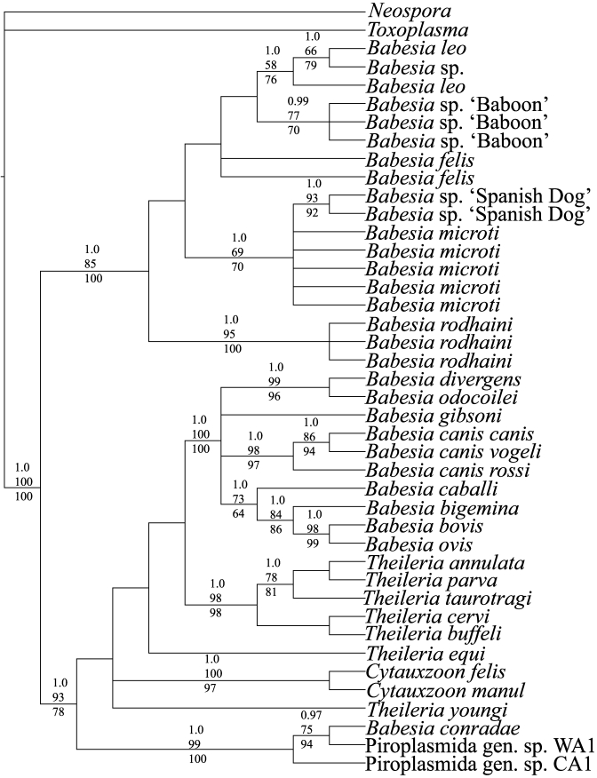 Figure 3.