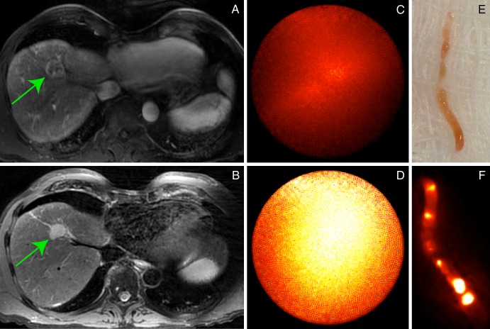 Figure 4: