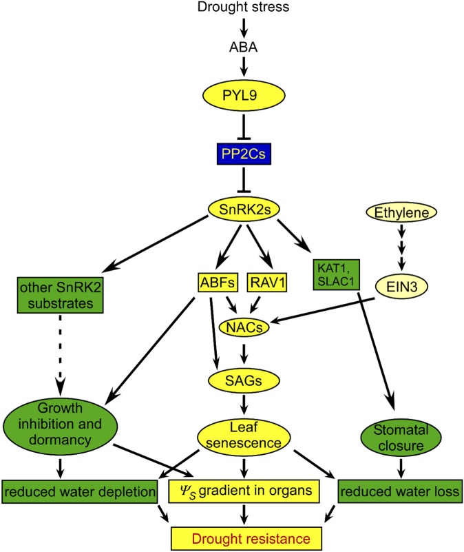 Fig. S10.