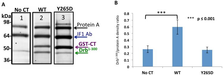 Fig 7