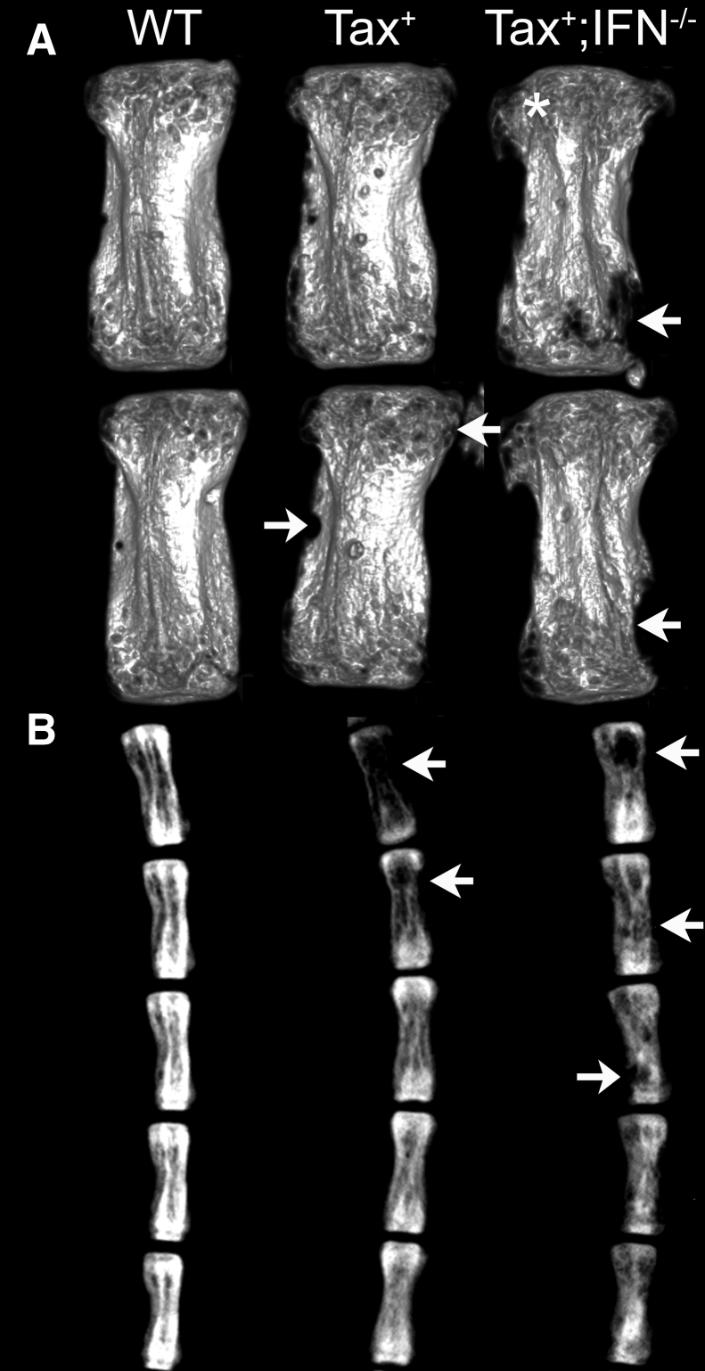 Figure 4