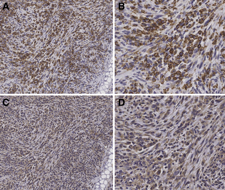 Figure 2