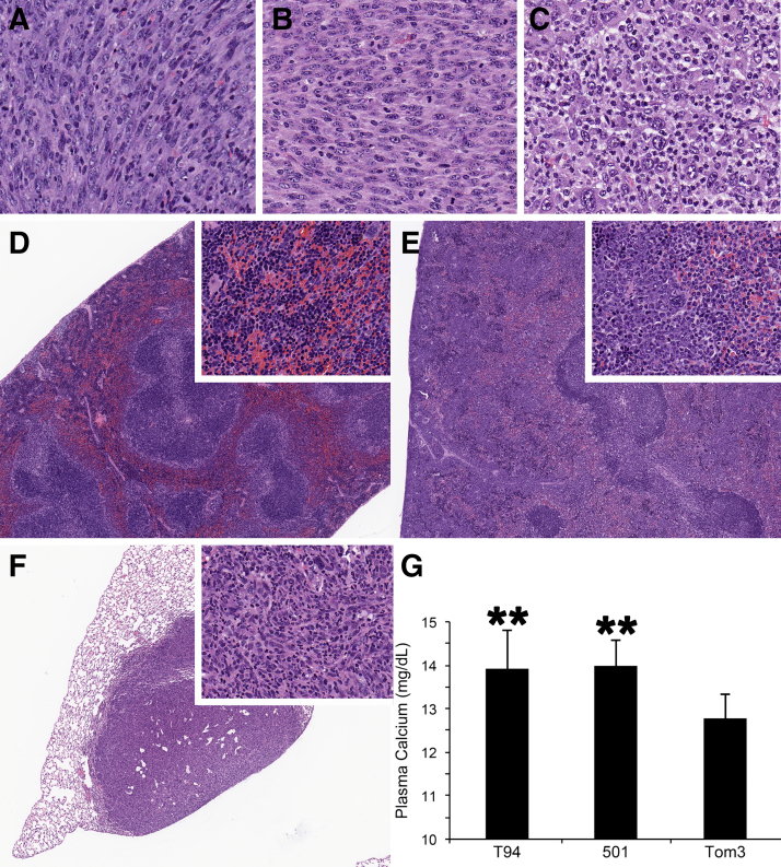 Figure 6