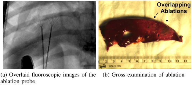 Fig. 13