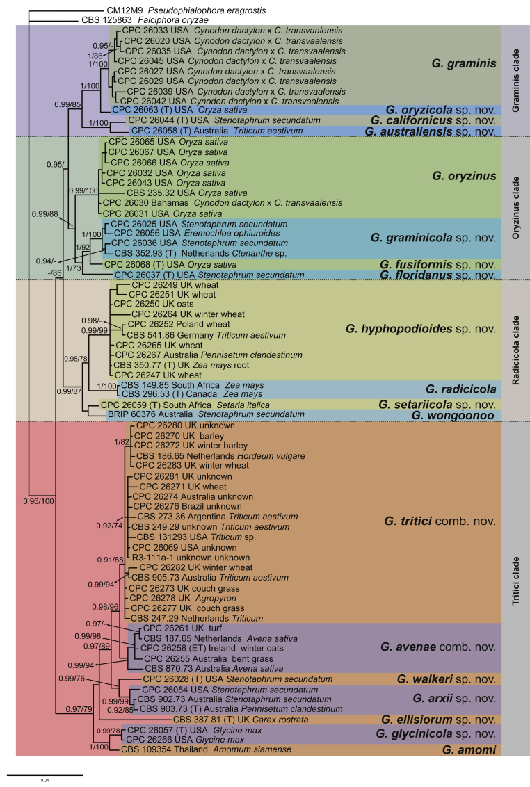 Fig. 2