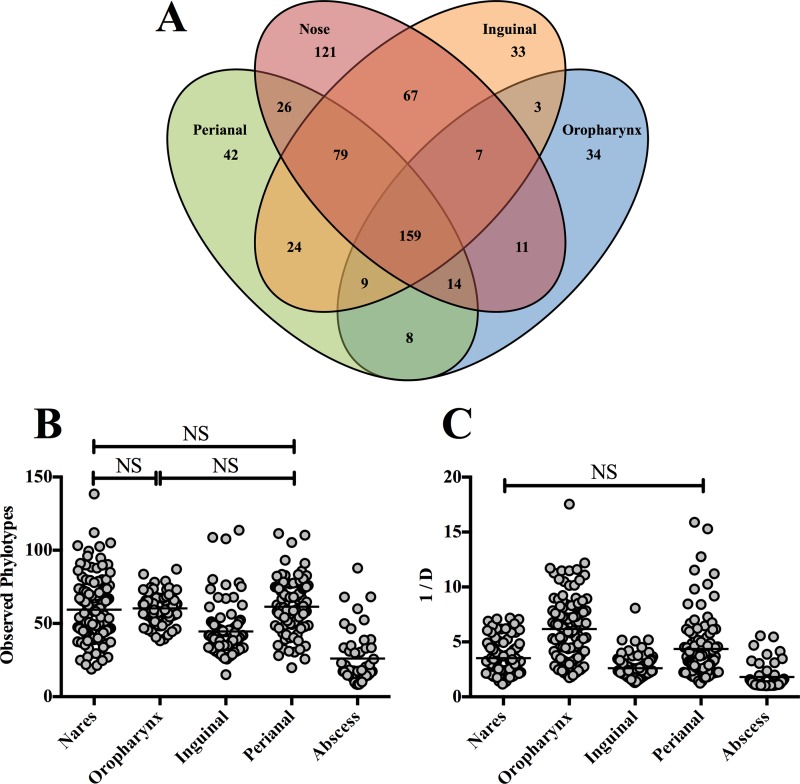 FIG 2 