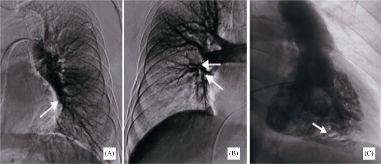 Figure 2.