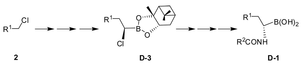 Scheme 1