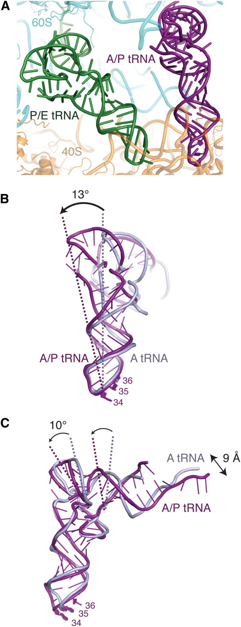 Figure 3