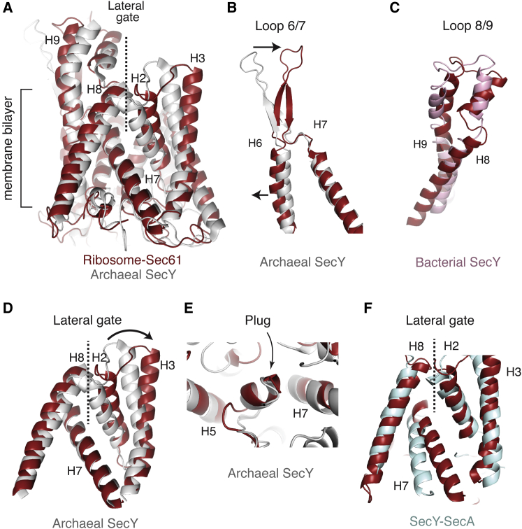 Figure 5