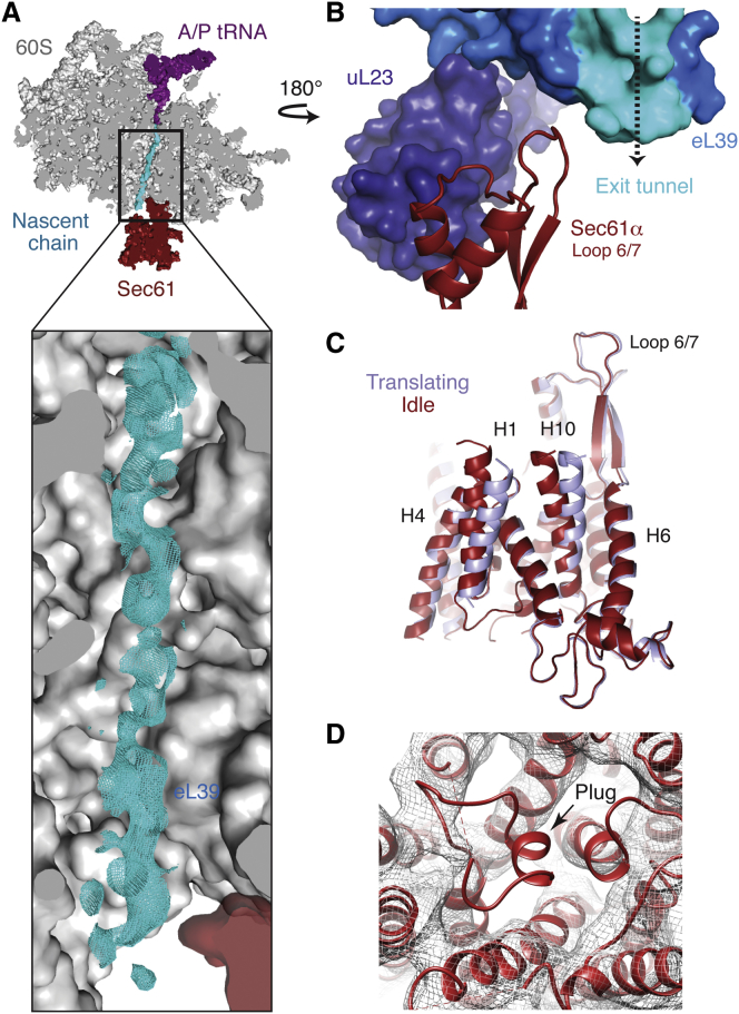 Figure 6