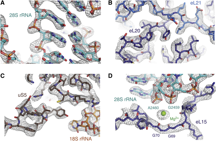 Figure 2