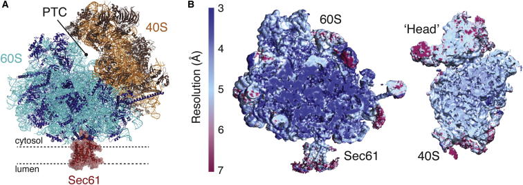 Figure 1