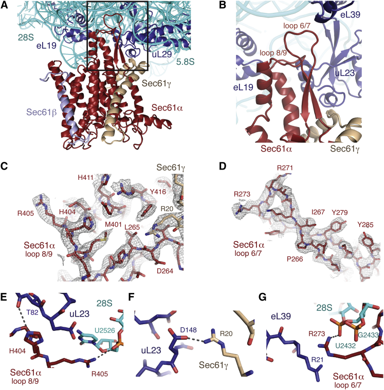 Figure 4