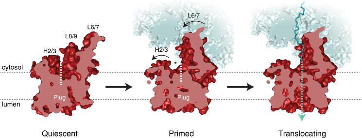 Figure 7