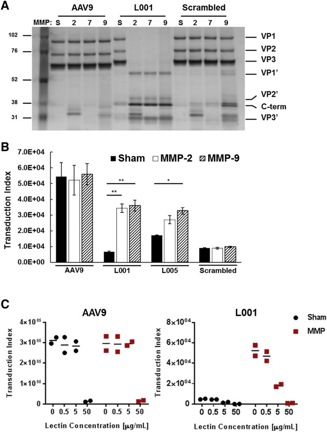 Figure 3