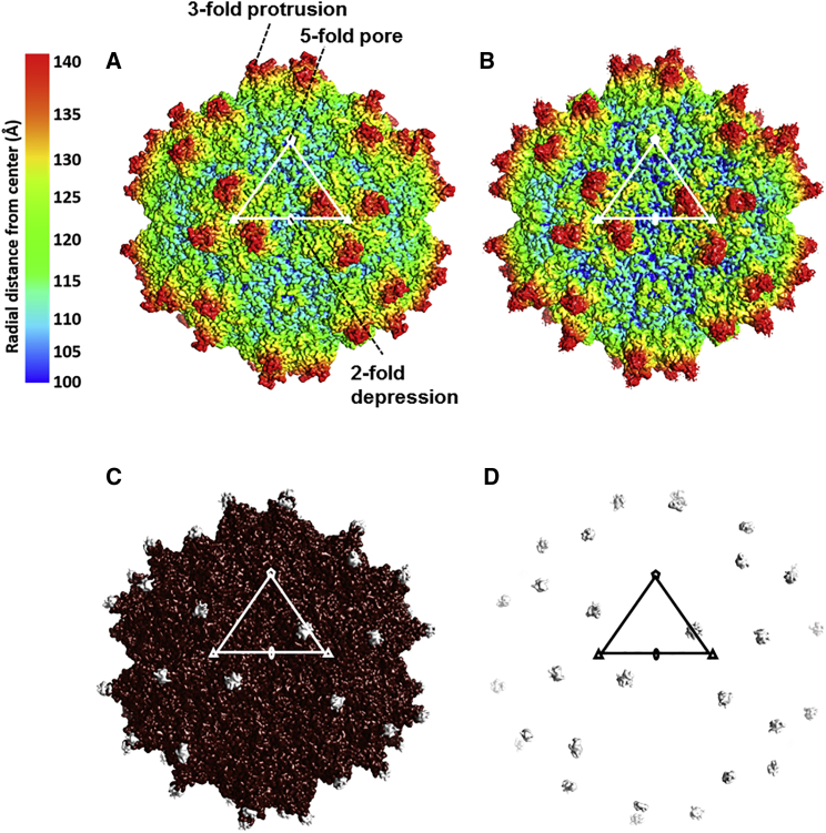 Figure 2