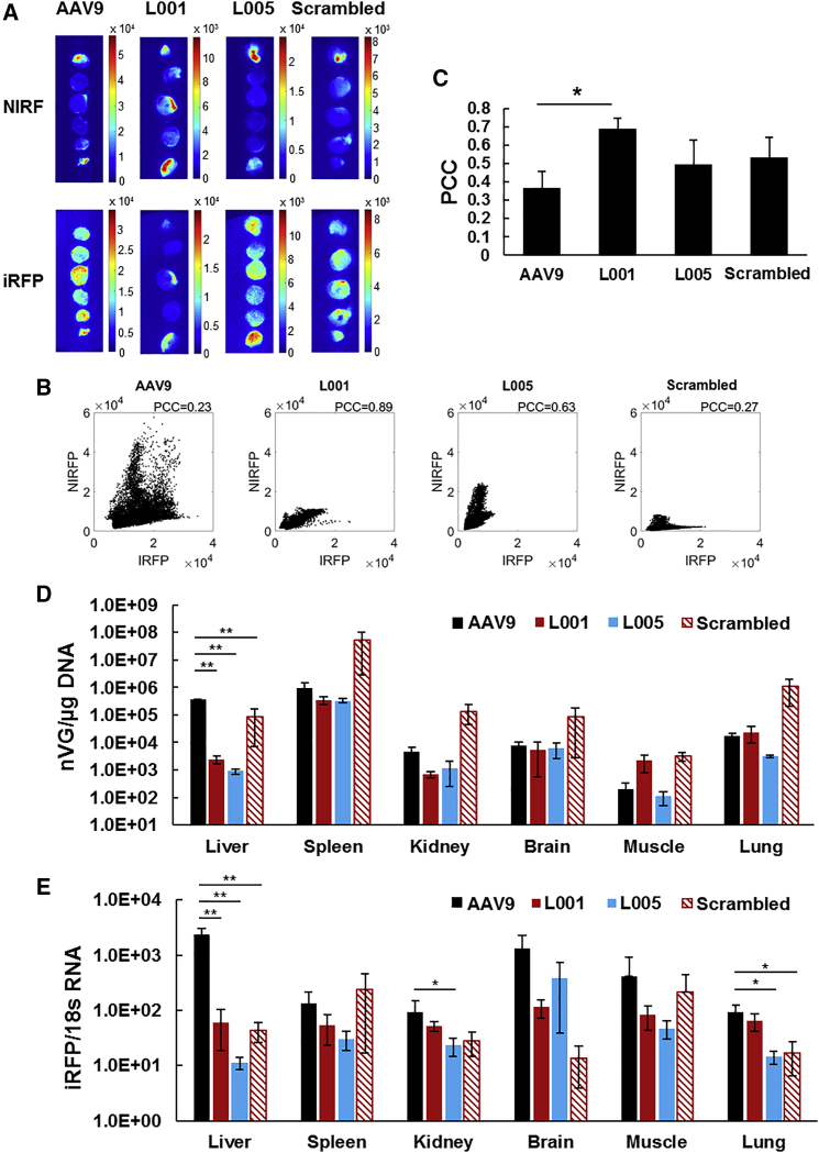 Figure 4