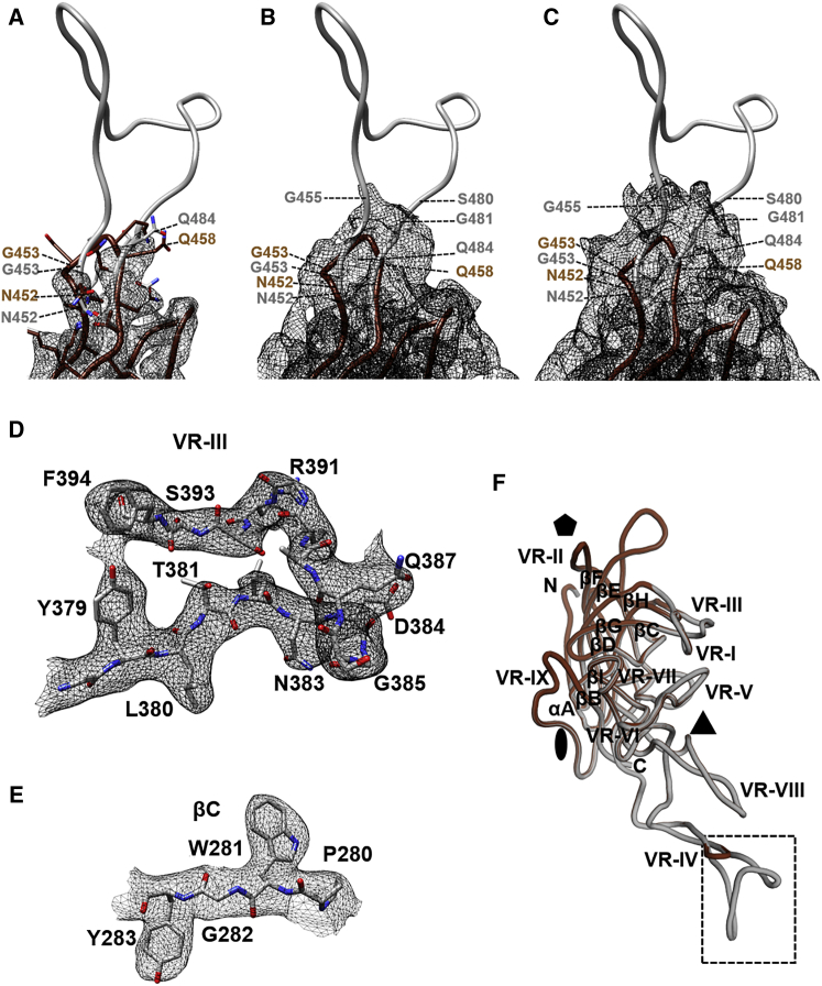 Figure 1