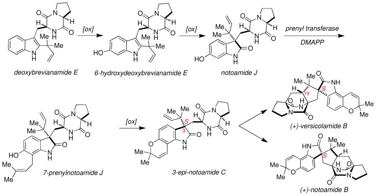 Scheme 1