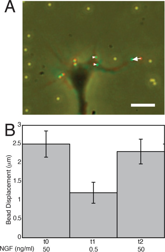 FIGURE 7: