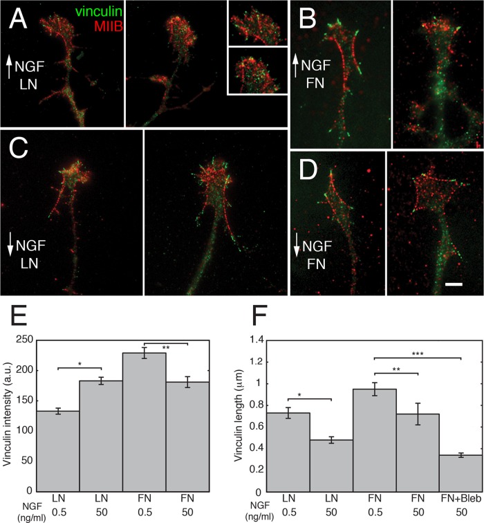 FIGURE 6: