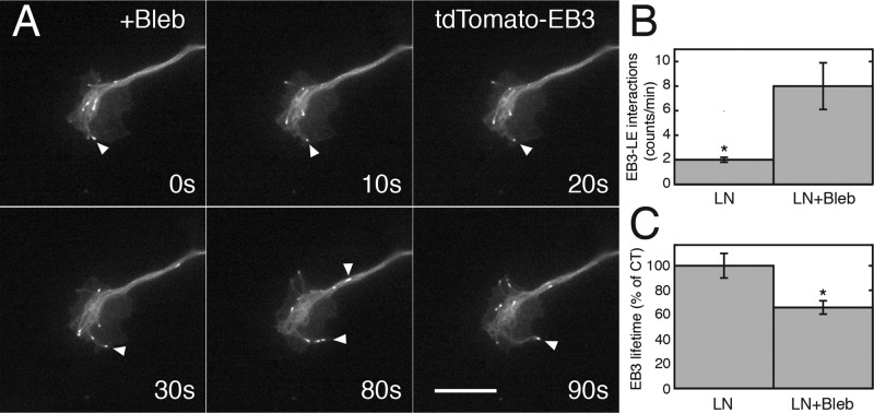 FIGURE 11: