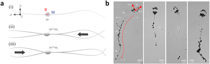 Fig. 6