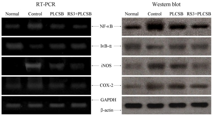 Figure 5.