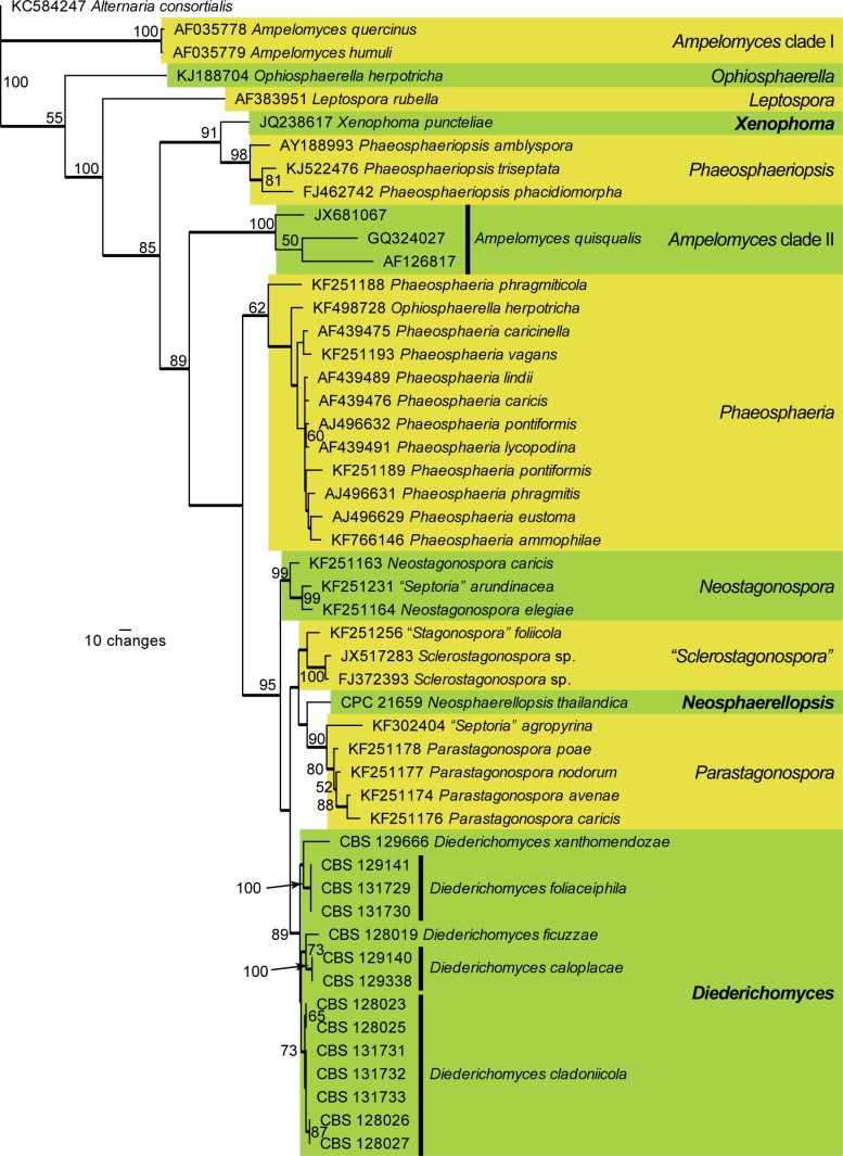 Fig. 2.