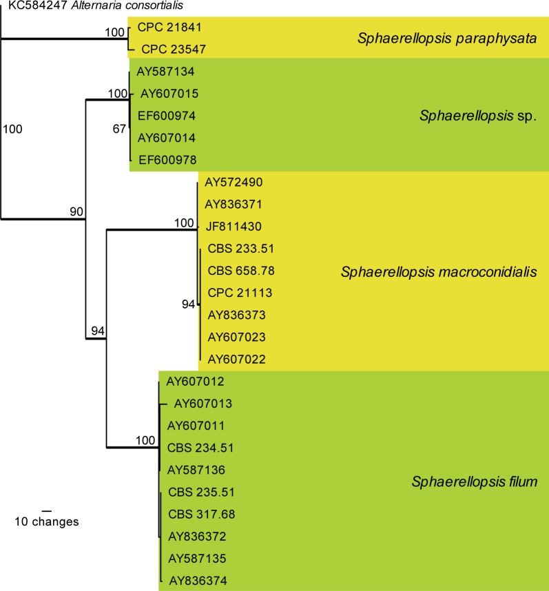 Fig. 4.