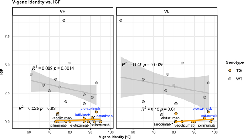 A two panel graph for heavy and light chains plotting regression lines for wild-type and transgenic mice describing the correlation between Immunogenicity Factor and sequence identity of the thirteen tested therapeutic antibodies.